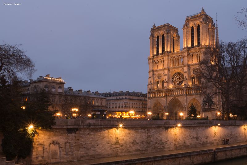 Cathédrale Notre Dame de Paris